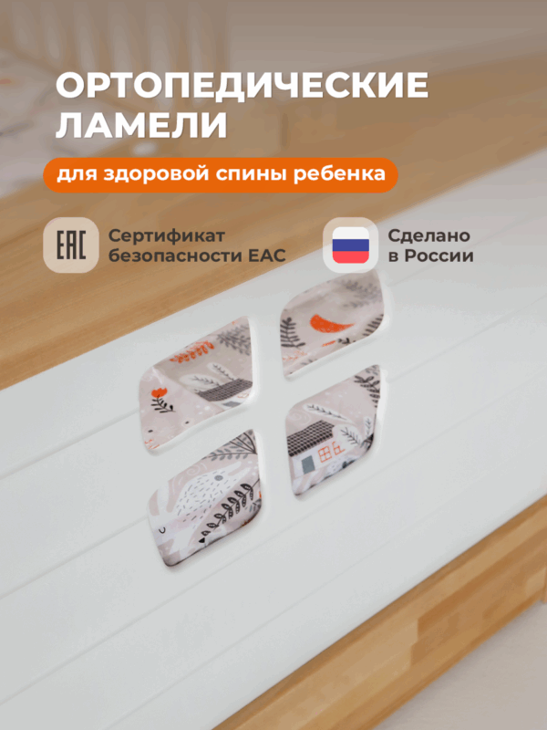 Детская раздвижная кровать домик Forest от года