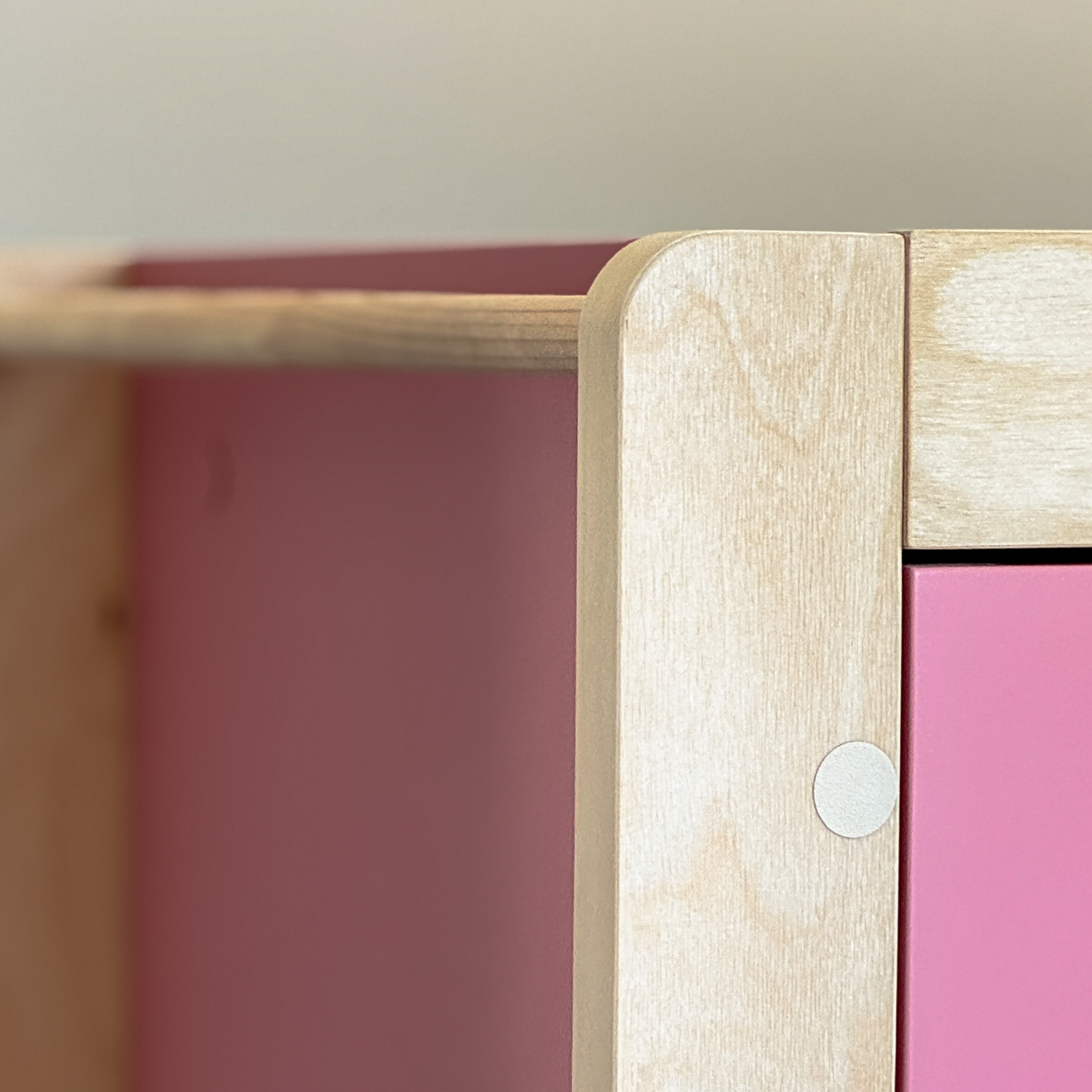 Шкаф в детскую комнату для одежды Forest Pink
