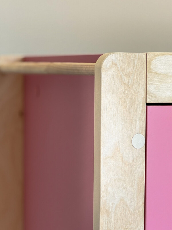 Шкаф в детскую комнату для одежды Forest Pink