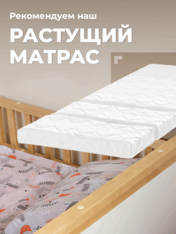 Детская раздвижная кровать от года Forest lite