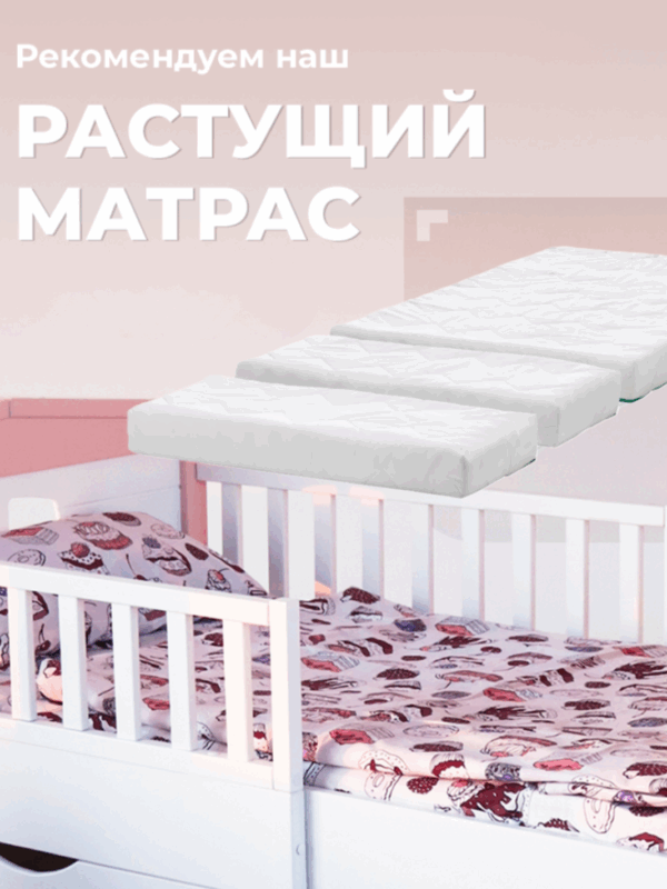 Детская раздвижная кровать домик Princess от года